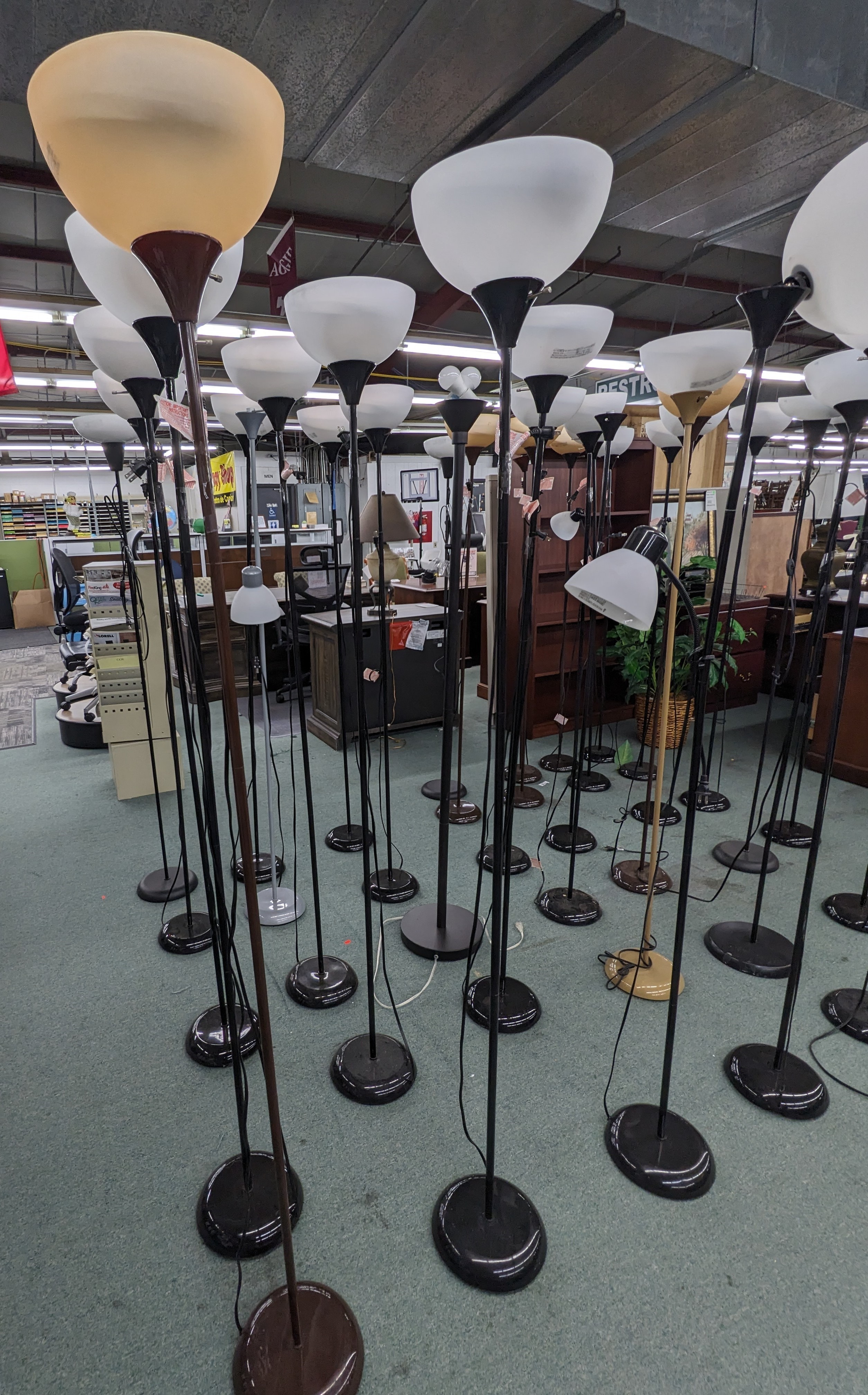 Assortment of Used Floor Lamps 