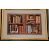 Framed Art -  Books on Shelves