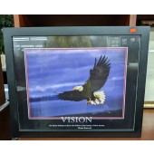 Framed Art, "Vision" with Bald Eagle