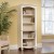 Sauder Harbor View Library Bookcase 158085