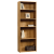 Sauder Beginnings 5 Shelf Bookcase, 413324