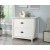 County Line ® Collection 2-Drawer Lateral File Cabinet by Sauder, 427565, 427719