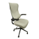 High Back Mesh Task Chair, Beige