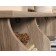 Sauder Select Collection Desk, 422811