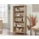 Whitaker Point 5-Shelf Display Bookshelf by Sauder, 429376 