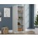 Sauder Select Collection 2-Door Contemporary Storage Cabinet, 433286