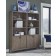 Trellis Door Bookcase by Aspenhome, bookcases sold separately