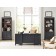 Alexander Door Bookcase by Aspenhome